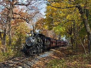 trees, Wagons, track, locomotive, viewes, steam