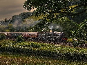 trees, Mountains, Train, viewes, locomotive