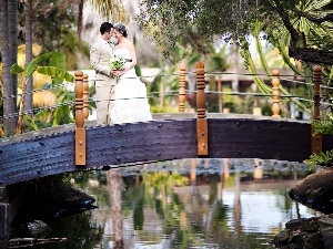 trees, bridges, water, Steam, viewes, young