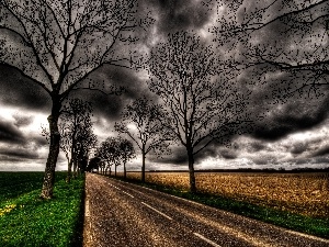 trees, clouds, Way, viewes, dark