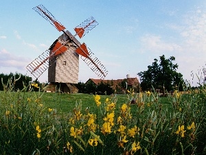 trees, Flowers, Windmill, viewes, meadow