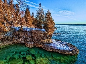 trees, rocks, winter, viewes, sea