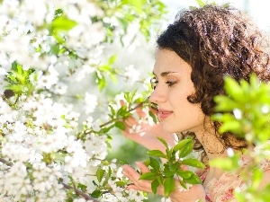 trees, flourishing, Women, viewes, orchard