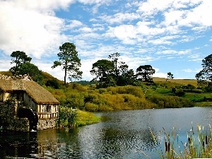 Windmill, viewes, water, River, The Hills, medows, Hobbits, trees