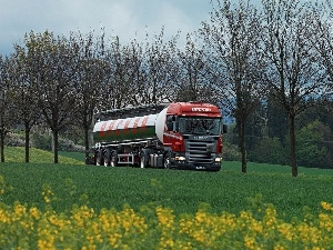 Yellow, trees, viewes, Front Truck, Flowers, Cistern