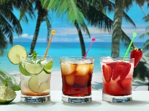 tropic, Ocean, fruit, drinks