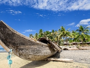 tropic, Palms, Lodz, Beaches