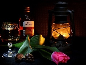 tulip, Lamp, composition, alcohol