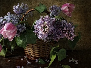 Tulips, Lilacs, bouquet, basket, flowers