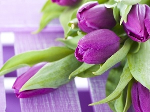 tulips, bouquet