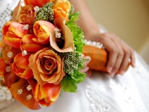bouquet, Tulips, wedded