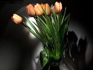 tulips, bouquet