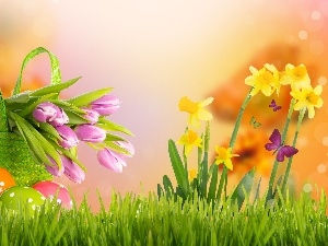 Tulips, Daffodils, Easter, eggs