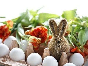 Tulips, rabbit, Easter, eggs