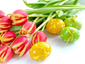 eggs, Tulips, easter