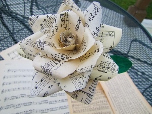 rose, Tunes, paper