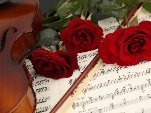 Tunes, musical, violin, roses, instrument