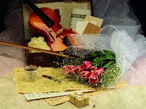 Tunes, Flowers, violin, bow