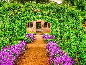 tunnel, Green, Garden, Flowers