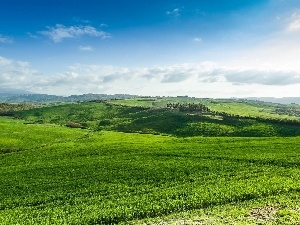 Tuscany, roads, vineyards, medows, Italy, Mountains