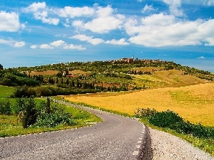 Tuscany, summer, Way, Italy, field