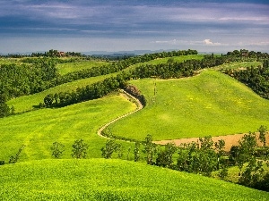 Tuscany, woods, Way, Italy, medows