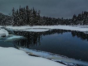 twilight, snow, woods, River