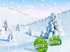 Tymbark, winter