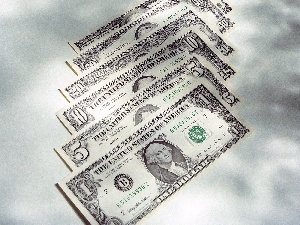 U.S. dollars, bills