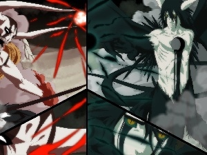 Ichigo, Ulquiorra, Fight