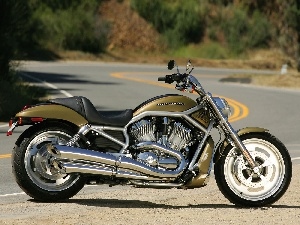 Unique, painting, Harley Davidson V-Rod