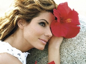 make-up, hibiscus, Sandra Bullock, Colourfull Flowers