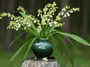 trees, vase, trunk, small bunch, viewes, Lily of the Valley