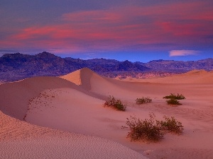 Valley, Death, Park, California, national