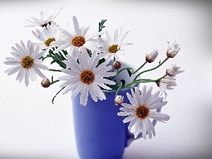 Vase, blue, bouquet, Camomile