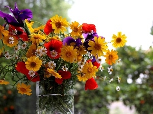 Vase, flowers, bouquet, wild