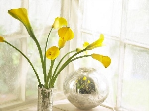 Calla, Vase, Yellow