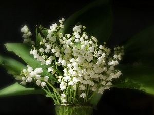 Vase, lilies