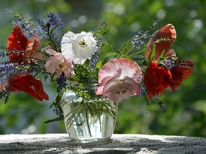 papavers, Vase, bouquet