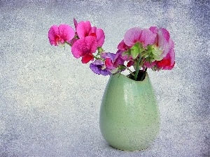 peas, vase, Flowers