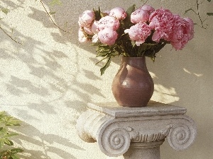 Peonies, vase, Pink