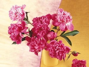 vase, Yellow, Pink, Peonies