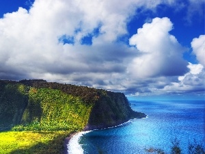 VEGETATION, clouds, Cliffs, sea