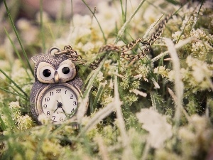 VEGETATION, Clock