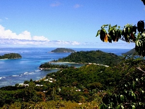 Islets, VEGETATION, sea