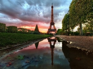 VEGETATION, Eiffla, Paris, puddle, tower