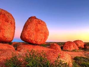 rocks, VEGETATION, Red