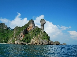 rocks, VEGETATION, sea