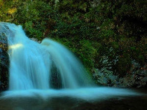 VEGETATION, waterfall