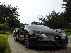 Bugatti Veyron, Black